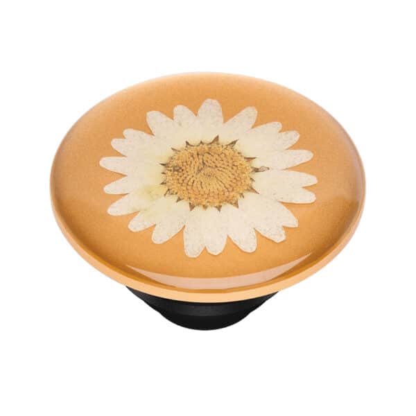 PopSockets - PopTop - Pressed Flower Daisy Λευκό